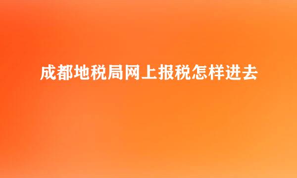 成都地税局网上报税怎样进去