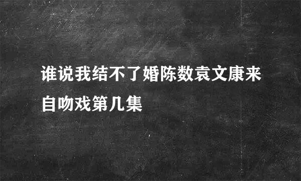 谁说我结不了婚陈数袁文康来自吻戏第几集