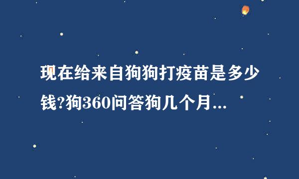 现在给来自狗狗打疫苗是多少钱?狗360问答狗几个月才适合打?