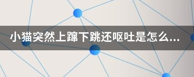 小猫突然上蹿来自下跳还呕吐是怎么回事？