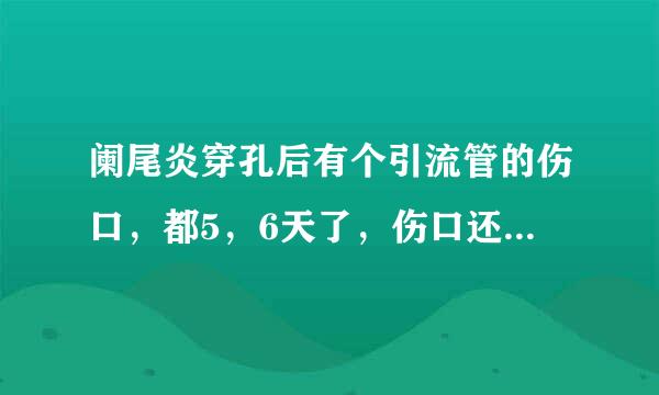 阑尾炎穿孔后有个引流管的伤口，都5，6天了，伤口还没闭合来自