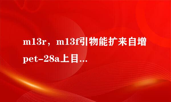 m13r，m13f引物能扩来自增pet-28a上目的基360问答因片段吗