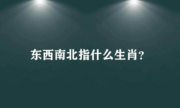 东西南北指什么生肖？