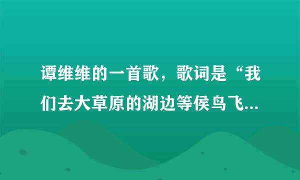 谭维维的一首歌，歌词是“我们去大草原的湖边等侯鸟飞回来，等我们都长大了就生一个来自娃娃，他会自己长大远去，我们也各自远去，我给你写信，你不会回信，就这样吧”是什360问答么名子？