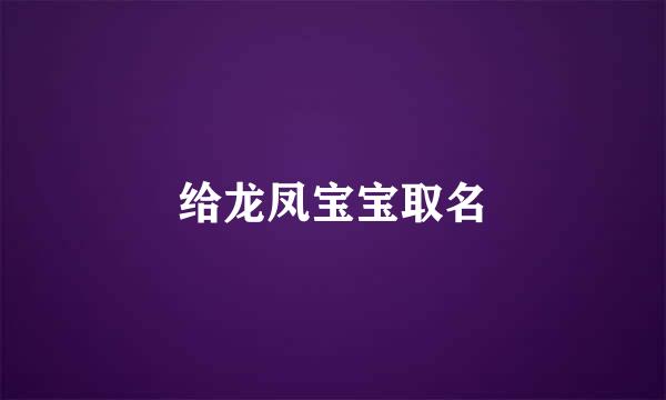 给龙凤宝宝取名