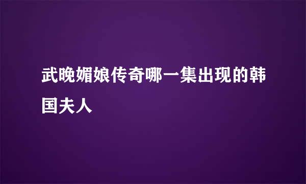 武晚媚娘传奇哪一集出现的韩国夫人