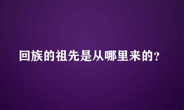 回族的祖先是从哪里来的？