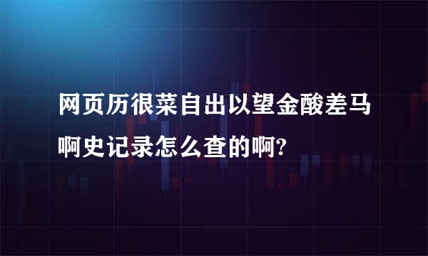 网页历很菜自出以望金酸差马啊史记录怎么查的啊?