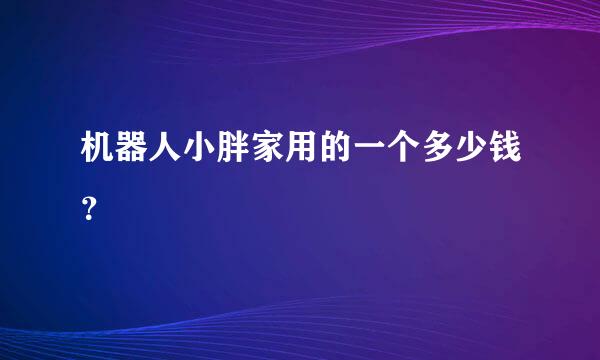 机器人小胖家用的一个多少钱？