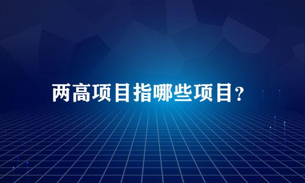 两高项目指哪些项目？