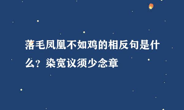 落毛凤凰不如鸡的相反句是什么？染宽议须少念章