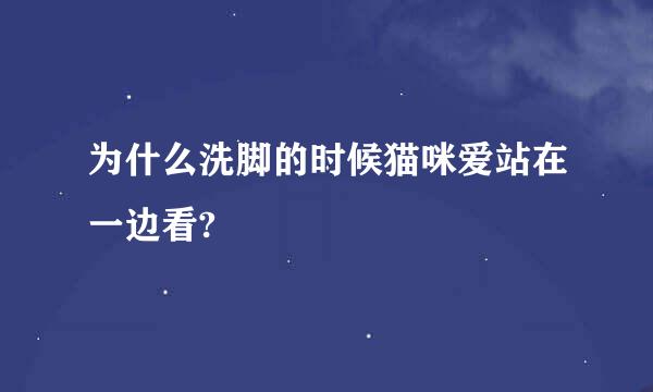 为什么洗脚的时候猫咪爱站在一边看?