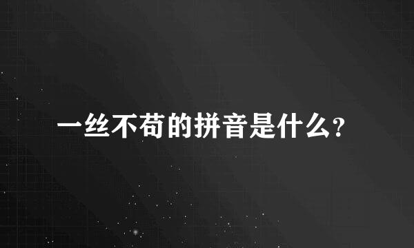 一丝不苟的拼音是什么？