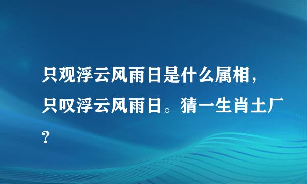 只观浮云风雨日是什么属相，只叹浮云风雨日。猜一生肖土厂？