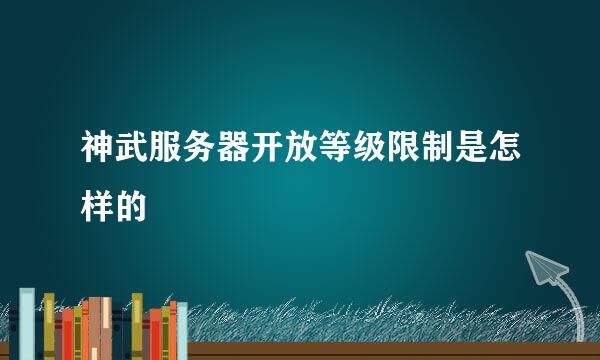 神武服务器开放等级限制是怎样的