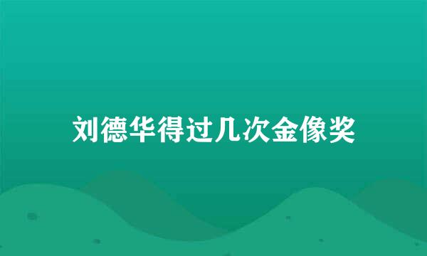 刘德华得过几次金像奖