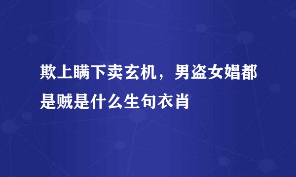 欺上瞒下卖玄机，男盗女娼都是贼是什么生句衣肖