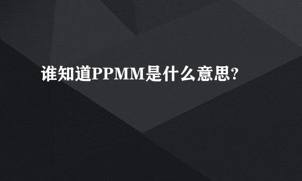 谁知道PPMM是什么意思?