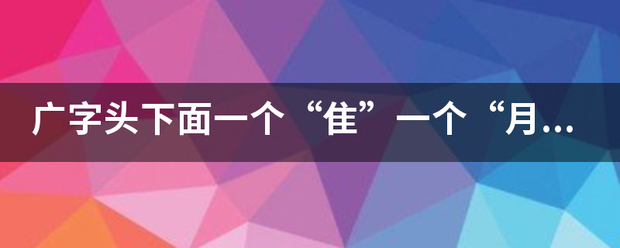 广字头下面一个“隹”一个“月”字是什么字？