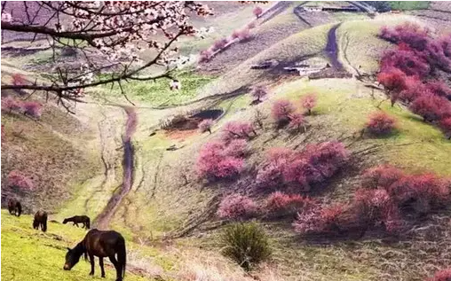 白马西风塞上杏花烟雨江南是哪首诗?