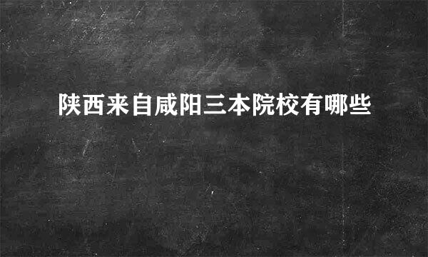 陕西来自咸阳三本院校有哪些