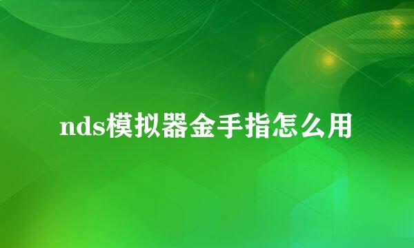 nds模拟器金手指怎么用