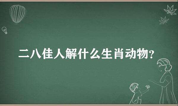 二八佳人解什么生肖动物？