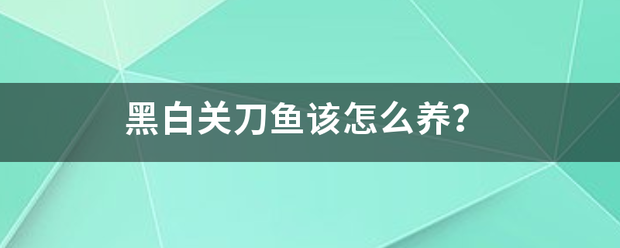 黑白关刀鱼该怎么养？