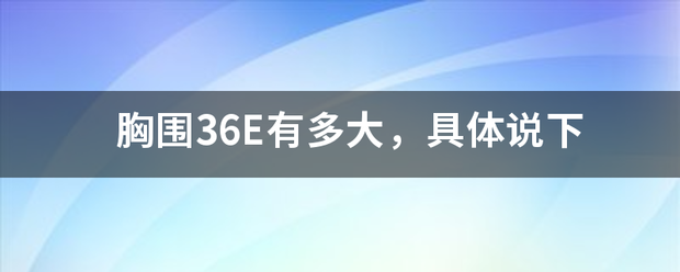 胸围36E有多大，具体说下