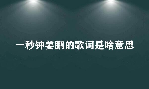 一秒钟姜鹏的歌词是啥意思