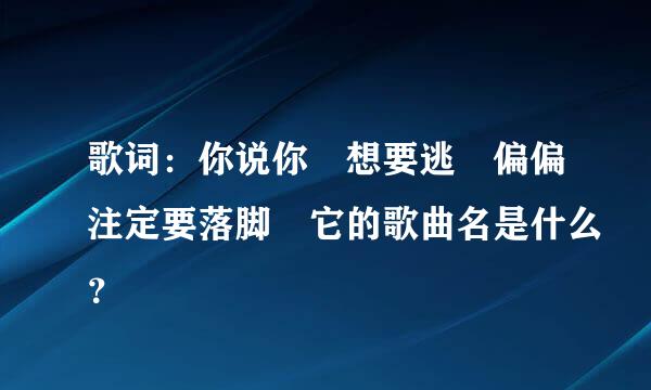 歌词：你说你 想要逃 偏偏注定要落脚 它的歌曲名是什么？