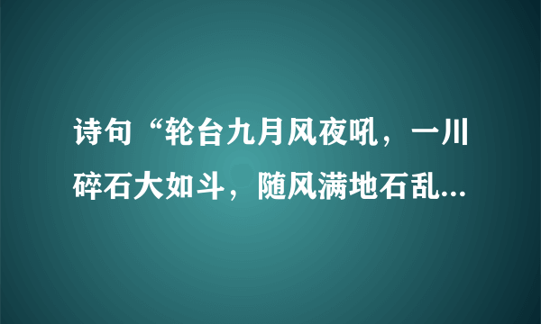 诗句“轮台九月风夜吼，一川碎石大如斗，随风满地石乱走。”的意思及全文赏析？