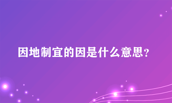 因地制宜的因是什么意思？