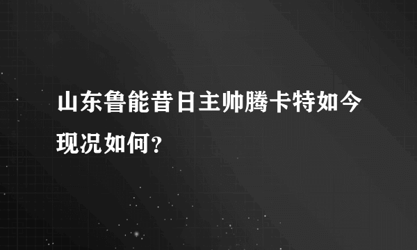 山东鲁能昔日主帅腾卡特如今现况如何？