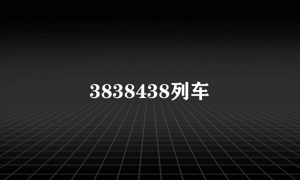 3838438列车