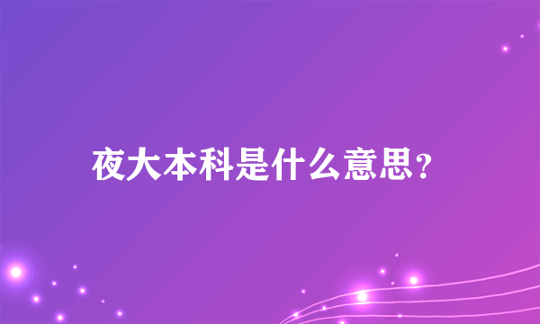 夜大本科是什么意思？