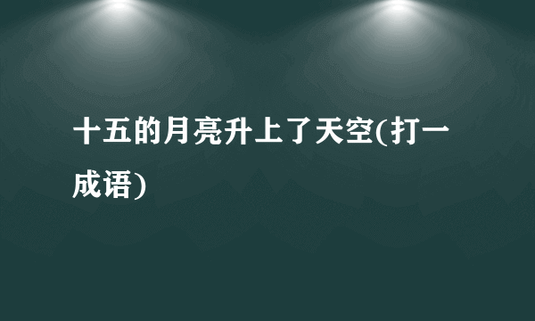 十五的月亮升上了天空(打一成语)