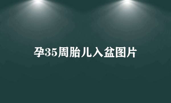 孕35周胎儿入盆图片