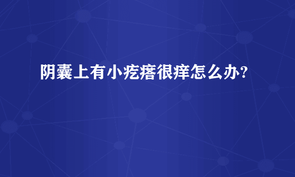 阴囊上有小疙瘩很痒怎么办?