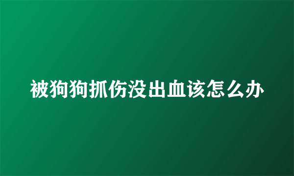 被狗狗抓伤没出血该怎么办