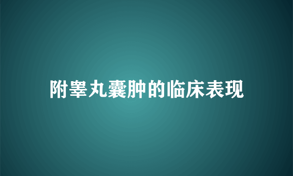 附睾丸囊肿的临床表现