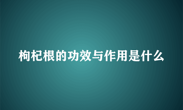 枸杞根的功效与作用是什么