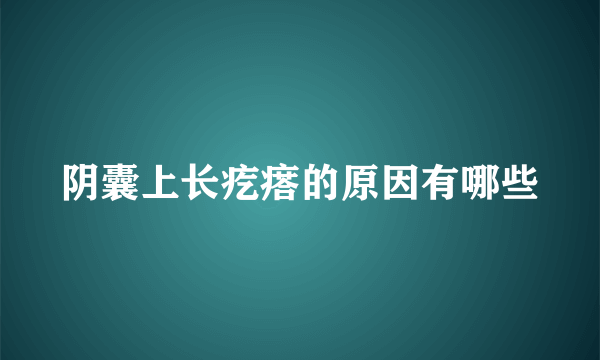 阴囊上长疙瘩的原因有哪些