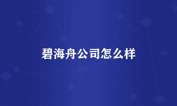 碧海舟公司怎么样