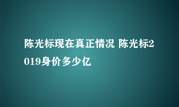 陈光标现在真正情况 陈光标2019身价多少亿