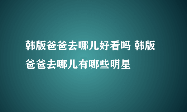 韩版爸爸去哪儿好看吗 韩版爸爸去哪儿有哪些明星