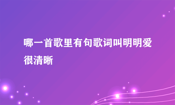 哪一首歌里有句歌词叫明明爱很清晰