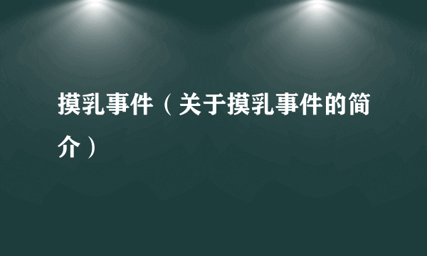 摸乳事件（关于摸乳事件的简介）