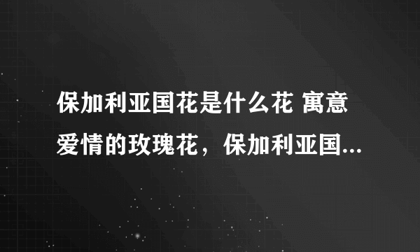 保加利亚国花是什么花 寓意爱情的玫瑰花，保加利亚国花是什么花？