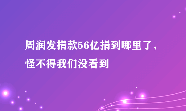 周润发捐款56亿捐到哪里了，怪不得我们没看到